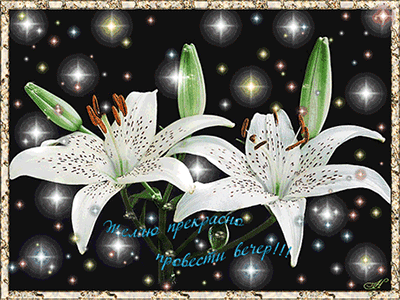 Анимационные открытки приятного вечера. Скачать бесплатно открытки хорошего в...