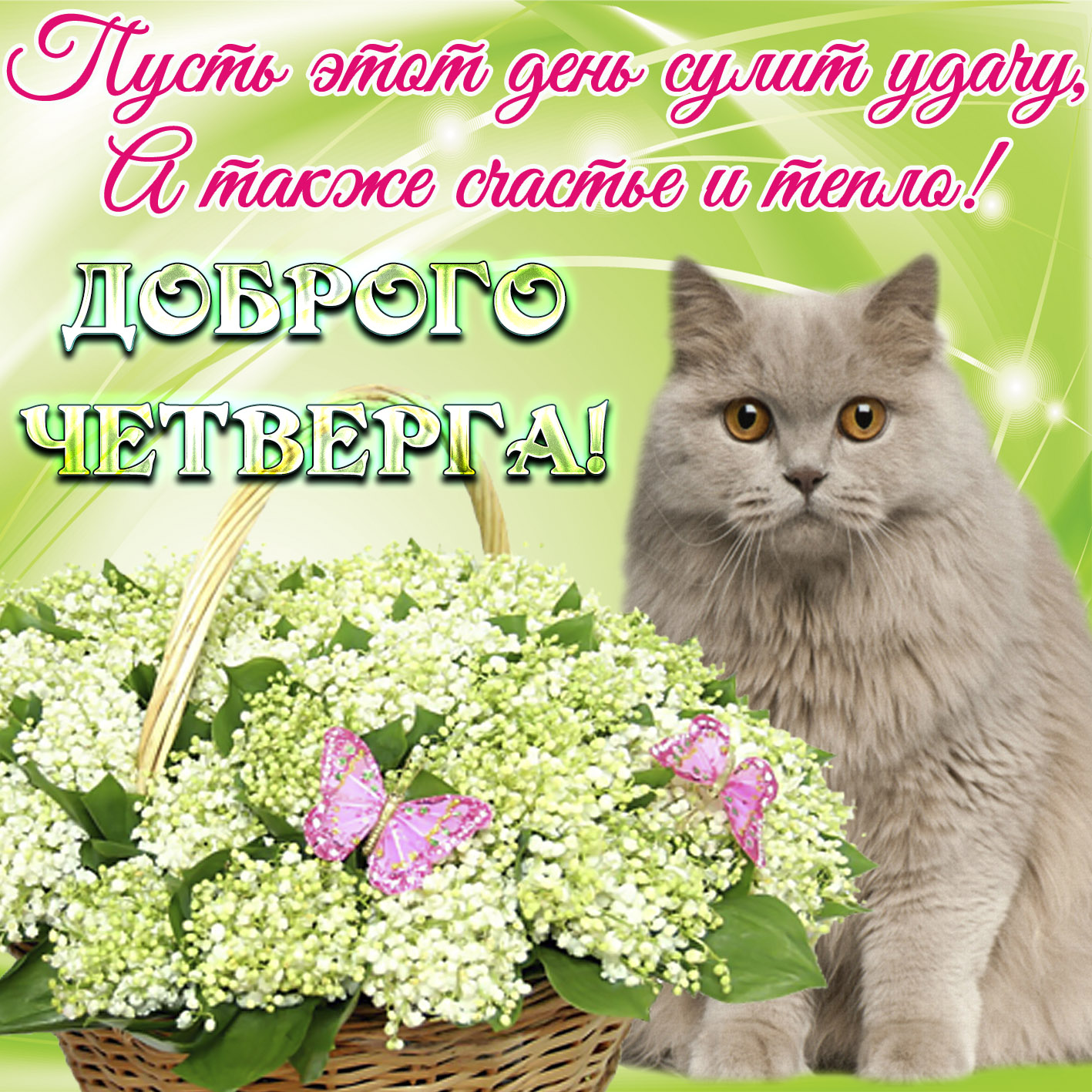 Открытки отличного четверга скачать бесплатно. Прикольные открытки на четверг...