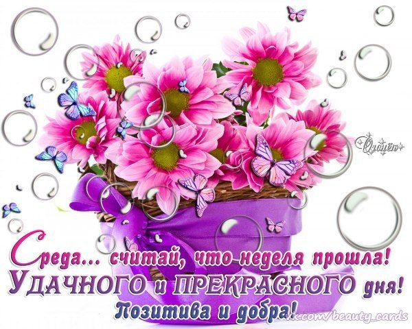 Открытки с пожеланиями отличной среды. Красивые открытки на среду.