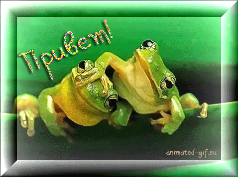 Красивые анимационные открытки с различными приветствиями скачать бесплатно.