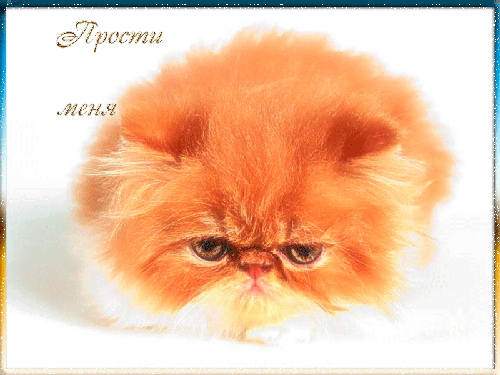 Красивые открытки с извинениями скачать бесплатно. Открытки прости меня gif.