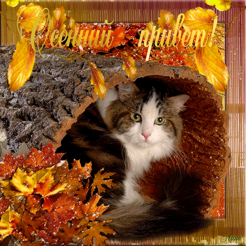 Оригинальные открытки с изображением осени. Открытки осень скачать бесплатно.