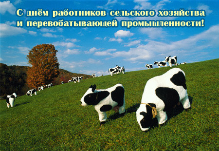 Открытки на день работников сельского хозяйства и перерабатывающей промышленн...