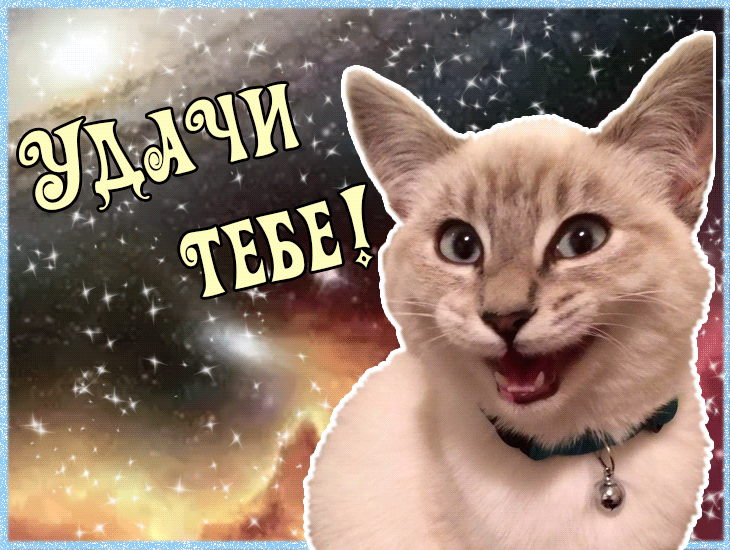Открытки желаю удачи скачать бесплатно. Красивые открытки с пожеланиями удачи.