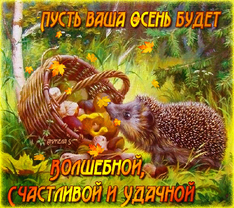 Красивые анимационные открытки на первый день осени скачать бесплатно