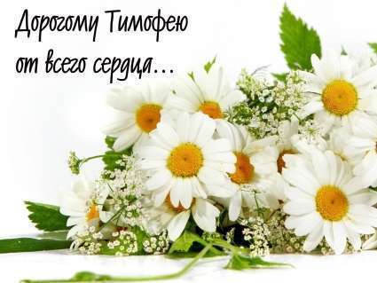 Анимационные открытки с именем Тимофей. Открытки с мужскими именами с поздрав...