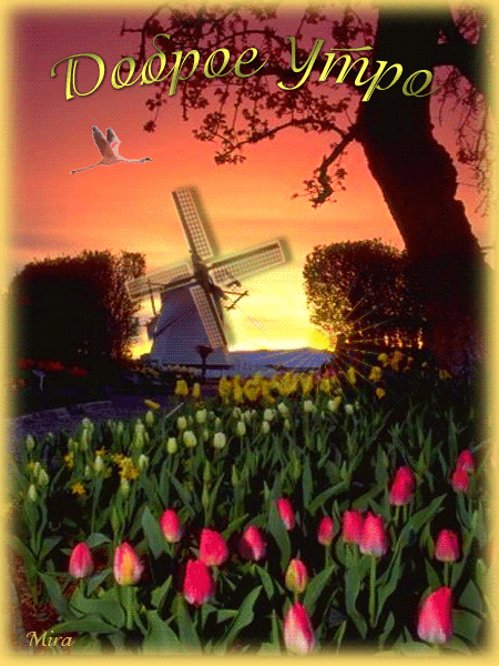 Открытка с пожеланиями доброго утра на каждый день скачать бесплатно 