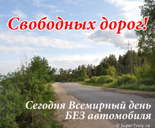 Открытки на Международный день без автомобиля скачать бесплатно.