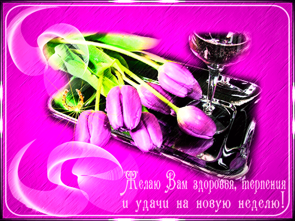 Забавные открытки с пожеланиями удачной недели. Открытки удачной недели скача...