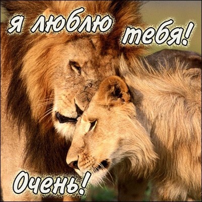 Поздравительные открытки с именем Лев. Открытки с мужскими именами. Открытки ...