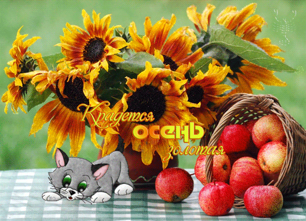 Чудесные открытки на тему Золотая Осень скачать бесплатно gif.