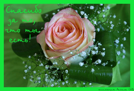 Анимационные открытки с благодарностью. Открытки спасибо скачать бесплатно.