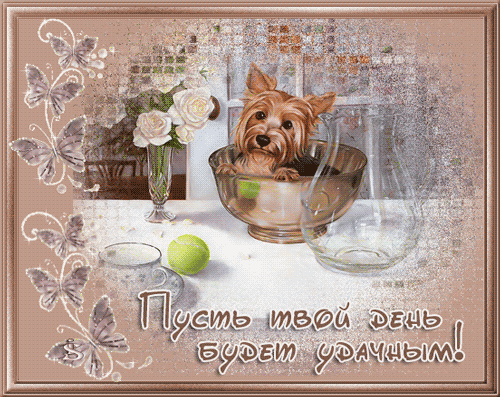 Открытки с пожеланиями хорошего дня. Скачать бесплатно открытки удачного дня.