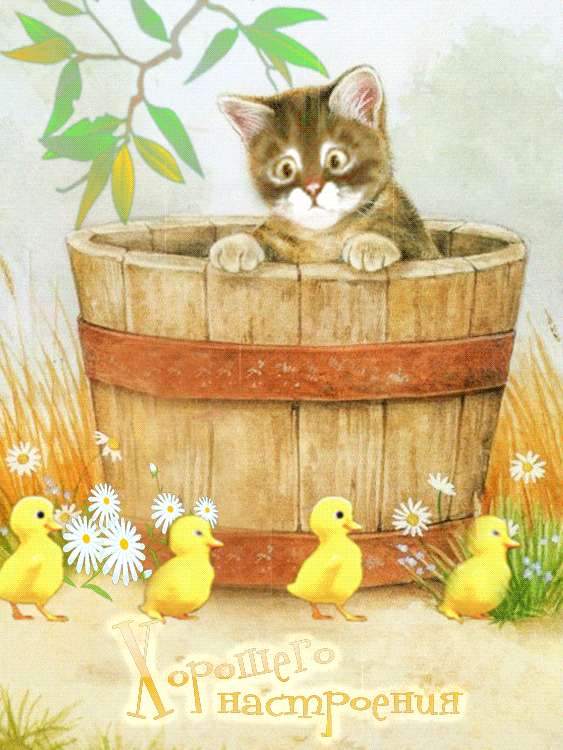 Позитивные открытки с пожеланиями хорошего настроения скачать бесплатно.