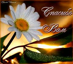 Анимационные открытки с благодарностью. Открытки спасибо скачать бесплатно.