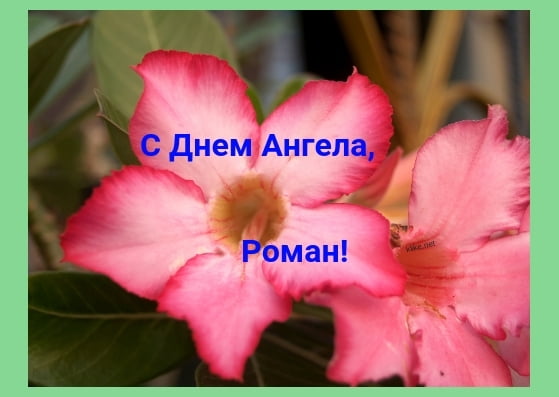 Красивые открытки с днём рождения Рома. Открытки с именем Роман скачать беспл...