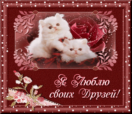 Красивые открытки для любимых друзей. Открытки о дружбе скачать бесплатно.