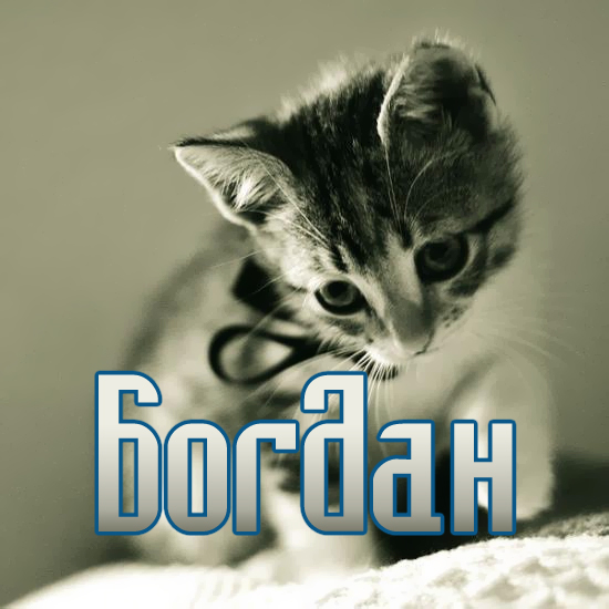 Анимационные открытки с именем Богдан. Открытки с днём рождения Богдан.