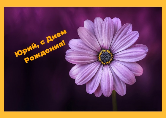 Скачать открытки с именем Юра. С днём рождения Юрий открытки. Поздравительные...