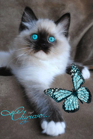 Анимационные открытки скучаю по тебе. Открытки я так скучаю скачать бесплатно.