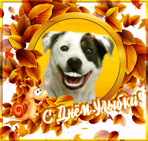 Веселые открытки с приколами на Всемирный день улыбки скачать бесплатно.