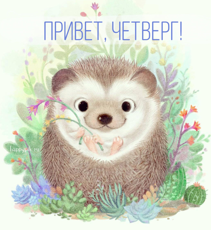 Открытки отличного четверга скачать бесплатно. Прикольные открытки на четверг...