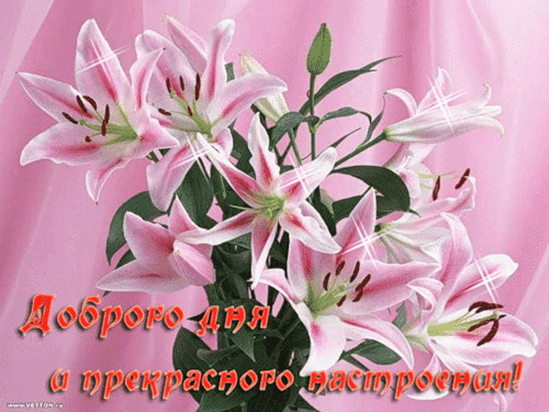 Открытки с пожеланиями хорошего дня. Скачать бесплатно открытки удачного дня.