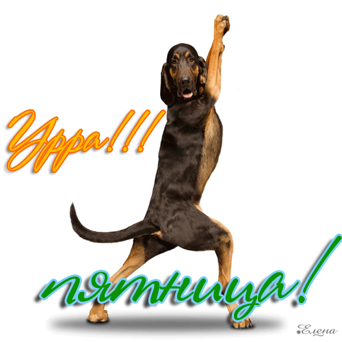 Прикольные открытки на пятницу. Открытки с пожеланиями на пятницу скачать бес...