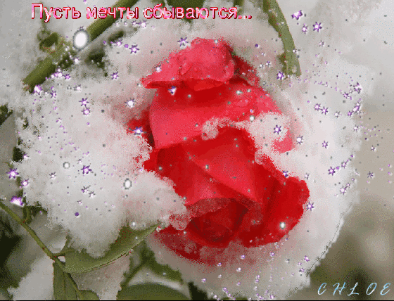 Открытки с пожеланиями исполнения желаний. Открытки пусть сбудутся мечты.