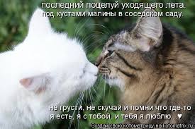 Открытки я всегда буду рядом. Открытки Открытки я рядом с тобой скачать беспл...