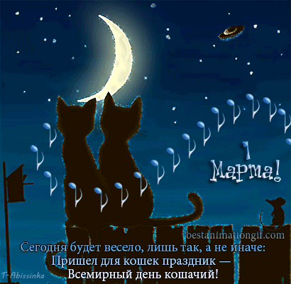 Скачать бесплатно прикольные открытки с днем кошек. Открытки с днем кошек gif.