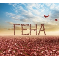 Открытки с днём рождения Гена. Открытки с именем Геннадий скачать бесплатно.