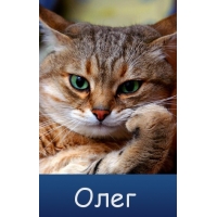 Открытки с днём рождения Олег. Открытки с именем Олег с признаниями.