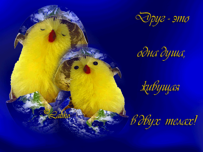 Красивые открытки для любимых друзей. Открытки о дружбе скачать бесплатно.