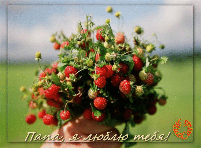 Поздравительные открытки с Днем Рождения папе скачать бесплатно.