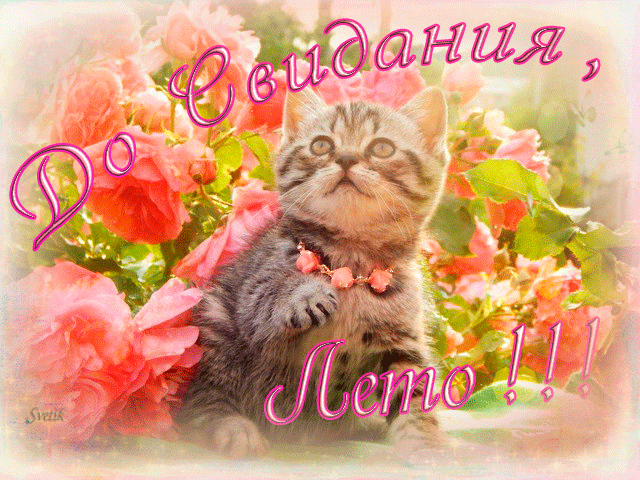 Открытки на тему осени скачать бесплатно. Анимационные открытки про лето.