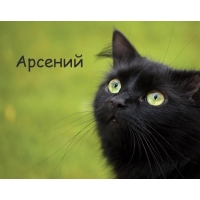 Открытки Картинки с пожеланиями на день рождения Арсению. Открытки с именем Арсений скачать бесплатно. Мерцающие картинки с именем Арсений. Картинки с пожеланиями на день рождения Арсению. Открытки с надписью Арсений поздравляю. Открытки с именем Арсений скачать бесплатно.