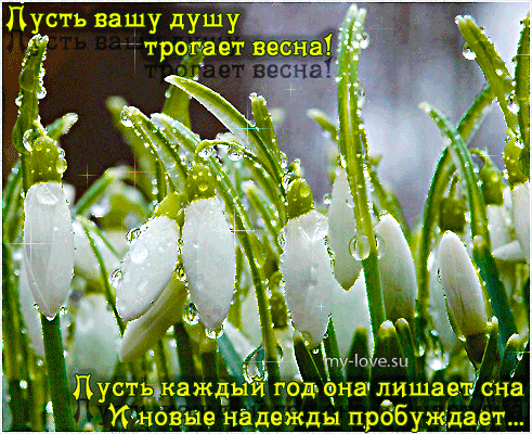 Красивые мерцающие открытки на весеннюю тематику. Скачать бесплатно открытки ...