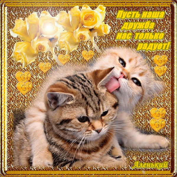 Красивые открытки для любимых друзей. Открытки о дружбе скачать бесплатно.