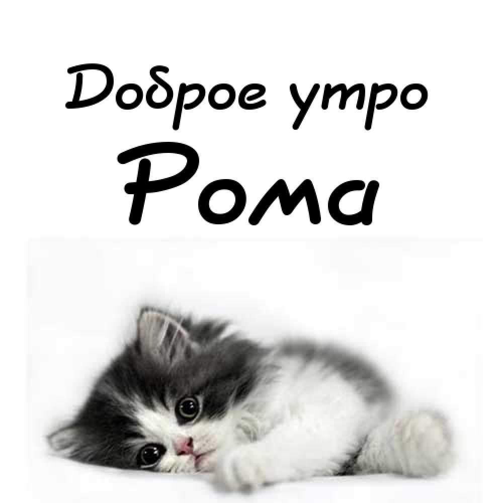 Красивые открытки с днём рождения Рома. Открытки с именем Роман скачать беспл...