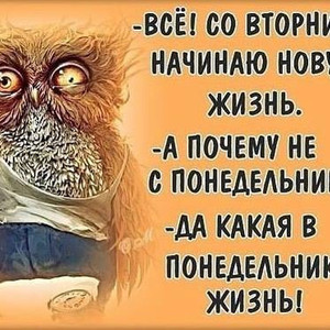 Позитивные открытки на вторник. Картинки про вторник скачать бесплатно.