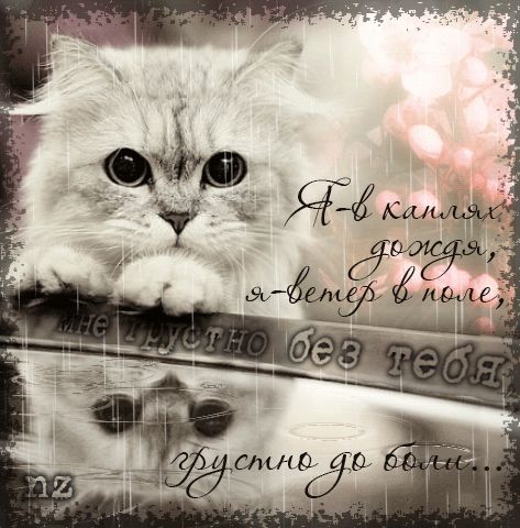 Анимационные открытки скучаю по тебе. Открытки я так скучаю скачать бесплатно.