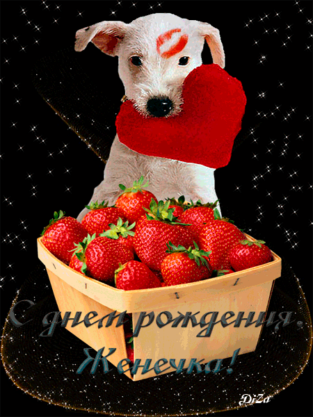 Открытки с именем Евгений gif. Открытки с днём рождения Женя. Открытки с имен...