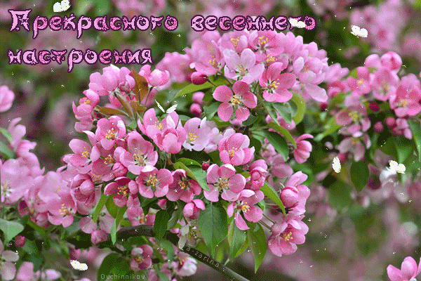 Красивые мерцающие открытки на весеннюю тематику. Скачать бесплатно открытки ...