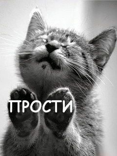 Красивые открытки с извинениями скачать бесплатно. Открытки прости меня gif.