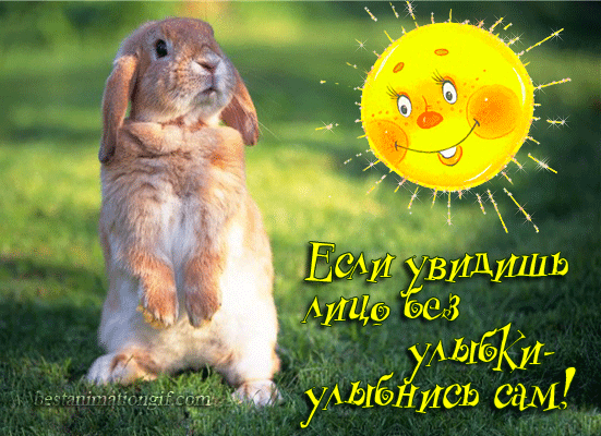 Весёлые открытки с пожеланиями улыбнись. Открытки с улыбкой скачать бесплатно.