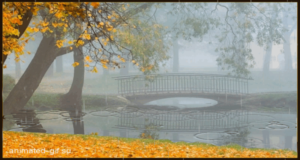 Оригинальные открытки с изображением осени. Открытки осень скачать бесплатно.