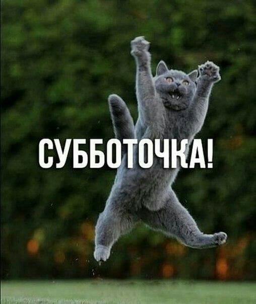 Интересные открытки на субботу. Веселые открытки на выходные. 