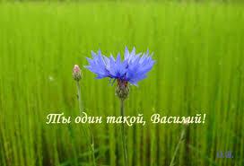 Анимационные открытки с именем Василий. Открытки с днём рождения Вася.