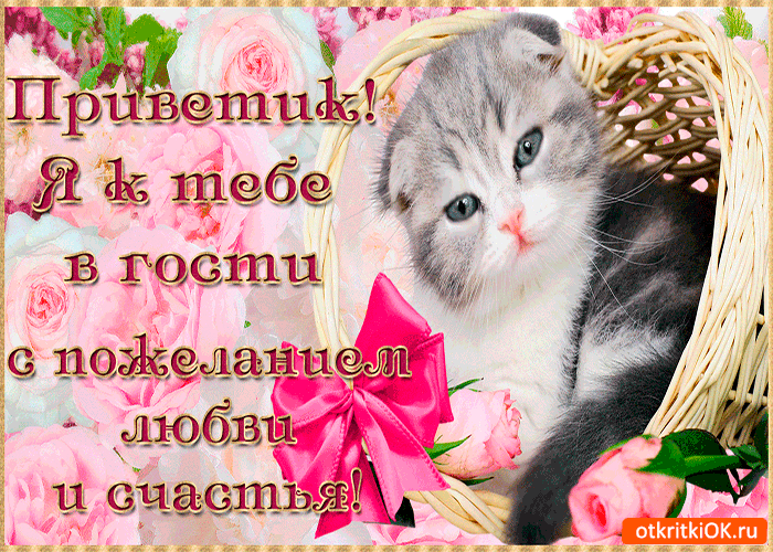 Красивые анимационные открытки с различными приветствиями скачать бесплатно.